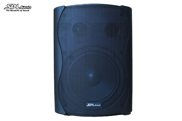 Wall Mounted Speaker